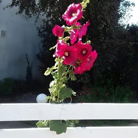 Le Vent Du Large A 80 M Apartment Vaux-sur-Mer