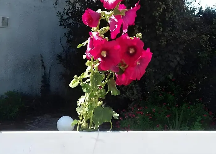 Le Vent Du Large à 80 M Appartement Vaux-sur-Mer