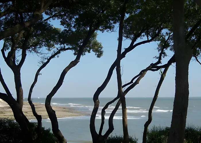 Le Vent Du Large à 80 M Appartement
